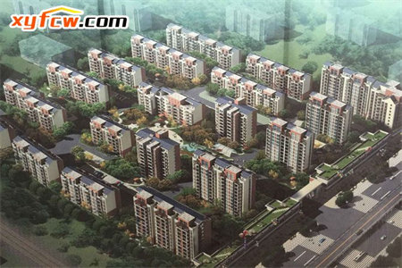 星月满庭3室2厅2卫正房116附房20